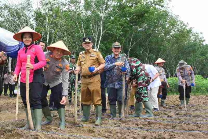 Dukung Swasembada Pangan 2025, Pj Bupati dan Polres Tubaba Tanam Jagung Serentak 1 Juta Ha
