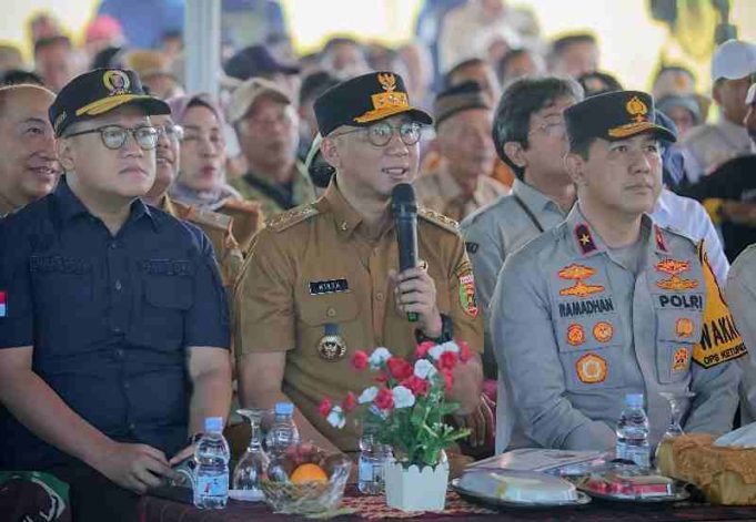Provinsi Lampung Proyeksi Lonjakan Produksi Padi Tembus 3.5 Juta Ton Tahun 2025