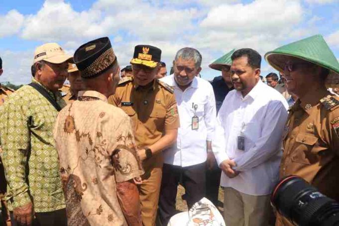 Petani Lampung Sambut Gembira Panen Raya, Pemerintah Pastikan Harga Gabah Menguntungkan