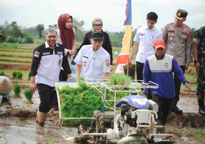Pemprov Lampung Gaspol Musim Tanam Kedua, Targetkan 3,5 Juta Ton Padi di 2025!