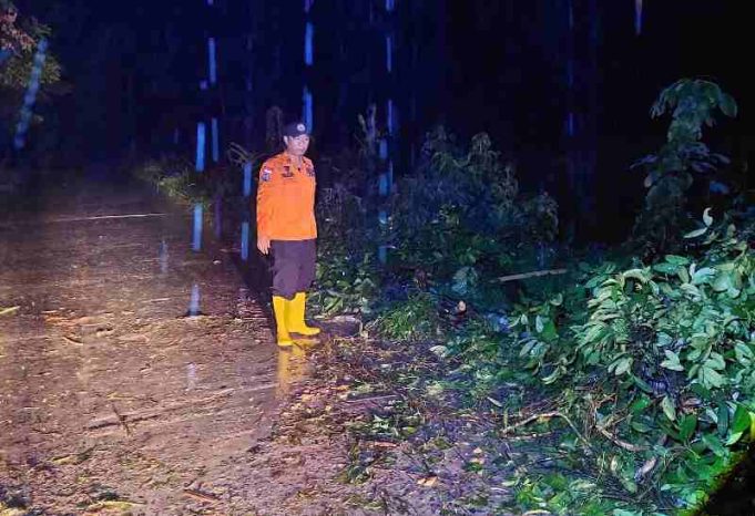 Tim Gabungan Bergerak Cepat Evakuasi Pohon Tumbang di Sekayu, Bupati HM Toha Apresiasi Respons Sigap