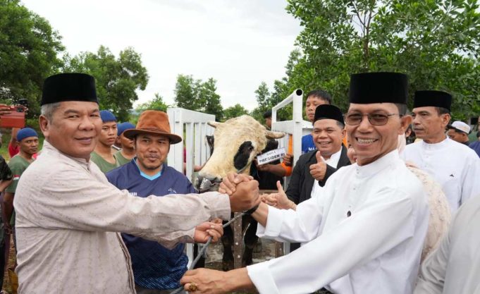 Semangat Kurban Semarakkan Idul Adha, Presiden RI Sumbangkan Sapi di Batam