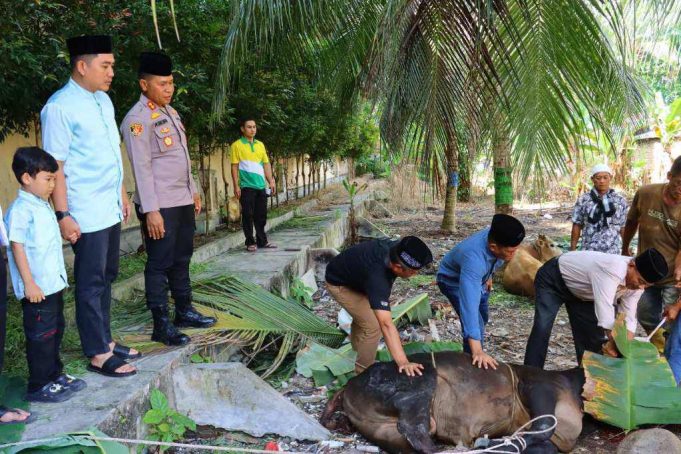 Rayakan Idul Adha 1446 H, Polres Tebingtinggi Sembelih Hewan Kurban