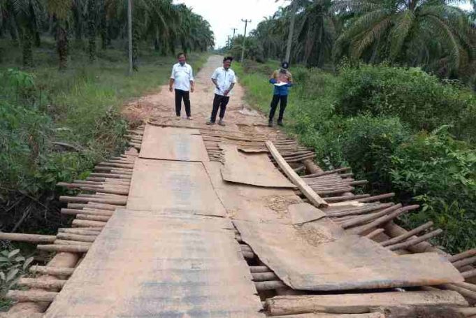 Pemkab Muba Segera Perbaiki Jembatan Desa Warga Mulya (B4)