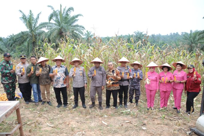 Bupati Asahan Ikuti Panen Raya Jagung Serentak yang Dipimpin Presiden Republik Indonesia
