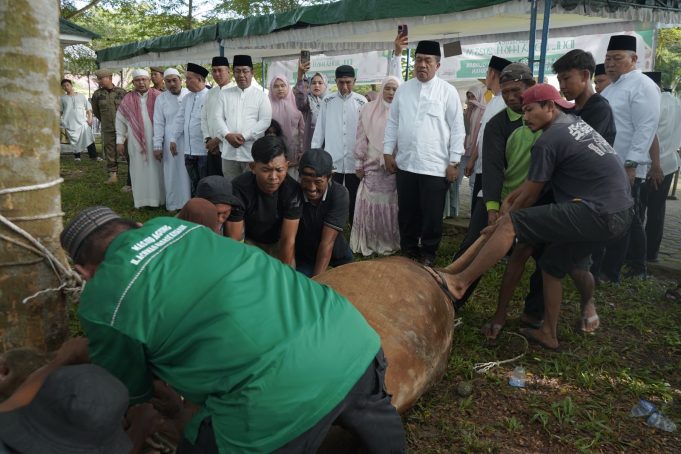 Bupati Asahan Pantau Penyembelihan 111 Hewan Kurban dalam Kegiatan Idul Adha