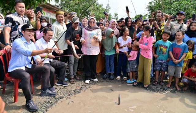 WhatsApp Image 2025-06-20 at 09.51.57