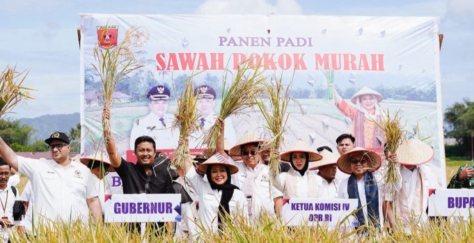 Inovasi Pertanian Sawah Pokok Murah di Sumbar Didorong Jadi Program Nasional