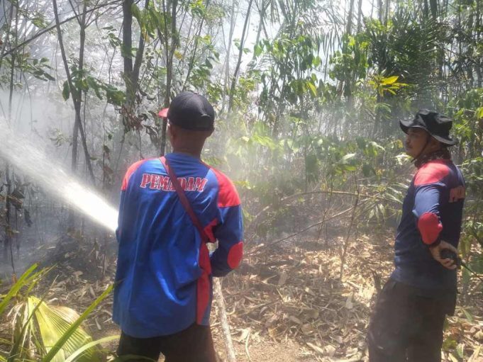 Bupati Mesuji : Masyarakat Agar Waspada Kebakaran Hutan – Lahan