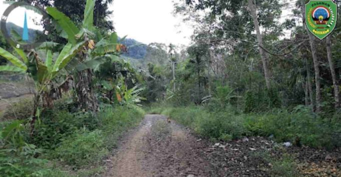 Tunaikan Janji, Benny Utama Pastikan Jalan Rumbai – Muaro Tais Dibangun Tahun Ini