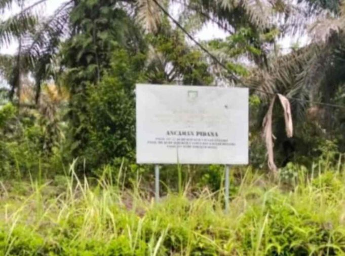 Simpang Siur Pemanfaatan Kebun Pemrov. Bengkulu, Dinas Pertanian : Tanpa Izin, Melanggar Hukum