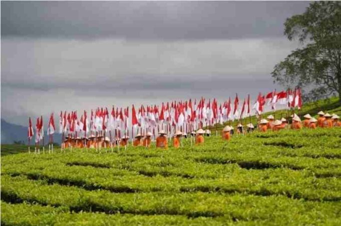 PalmCo, Subholding Holding Perkebunan Nusantara Luncurkan Kemasan 100 Tahun Kayu Aro, Ini Sejarahnya!