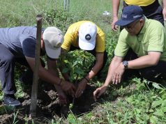 Peduli Lingkungan, Polres Pringsewu Tanam Ratusan Pohon