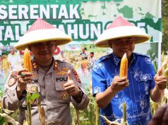 Panen Raya Jagung, Ini Harapan Bupati Bengkulu Tengah