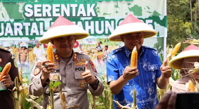 Panen Raya Jagung, Ini Harapan Bupati Bengkulu Tengah