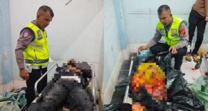 2 Pemotor Tewas Terlindas Truk Tronton Pada Lakalantas Maut Di Sergai