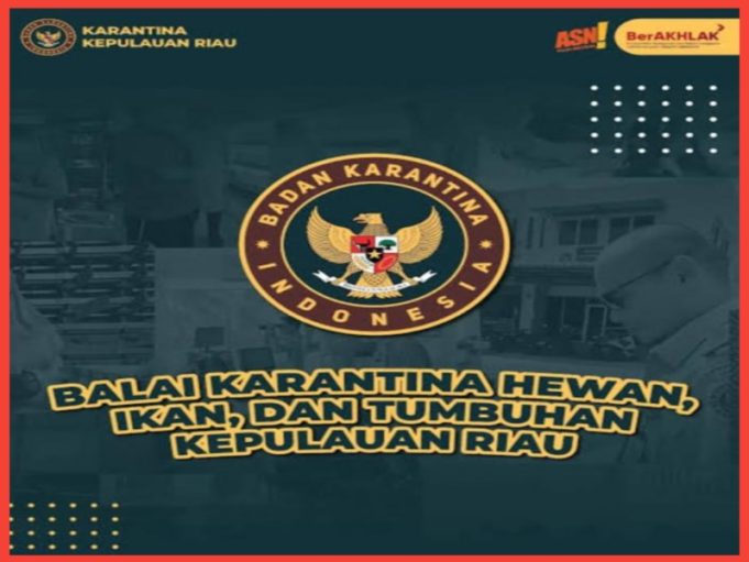 Buah Bawaan Penumpang dari Singapura–Malaysia Disita di Pelabuhan Sri Bintan Pura, Ini Penjelasan Karantina