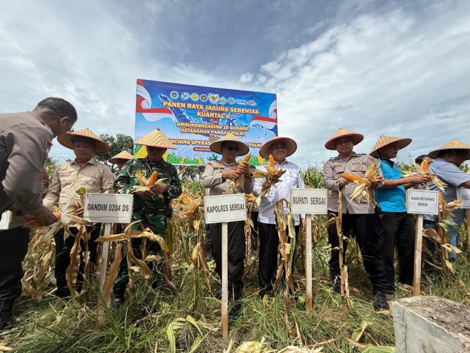 Panen Raya Jagung Sergai – Sukseskan Program Ketahanan Pangan Polri