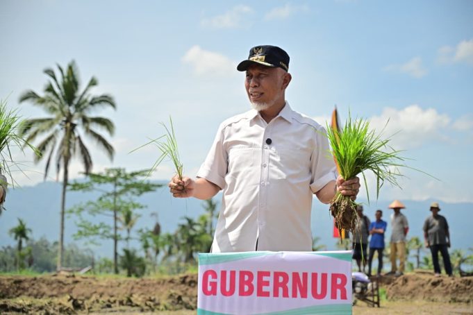 Gerakan Tanam 50 Ribu Hektare, Pemerintah Percepat Pemulihan Lahan Terdampak Bencana