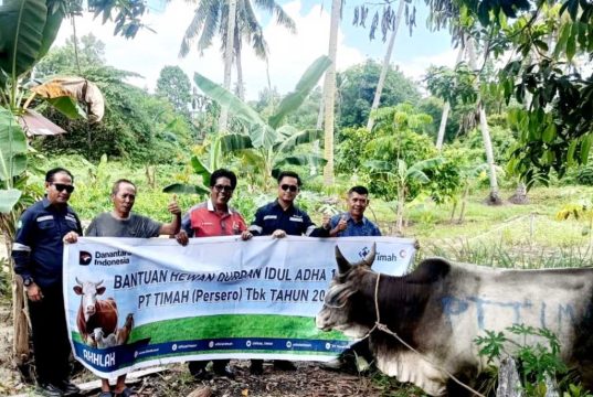 Insan Pers – APH Sembelih Hewan Qurban Bantuan PT. Timah Tbk