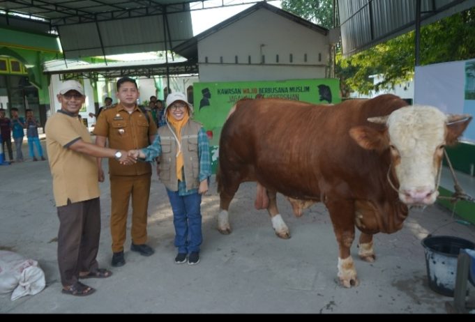 Menjelang Idul Adha: Seluruh Hewan Qurban di Asahan Dipastikan Sehat dan Bebas Penyakit