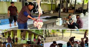 Holding Perkebunan Nusantara Wujudkan Kepedulian Sosial melalui Ibadah Kurban Insan PTPN IV Regional V