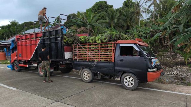 Harga Hasil Tani Tak Menentu, Ini Harapan Petani di Pulau Enggano