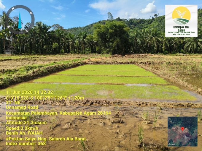Pemkab Agam Percepat Pemulihan Lahan Sawah Terdampak Bencana Hidrometeorologi