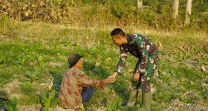 Sapa dengan Hati di Tengah Ladang, Satgas TMMD 129 Bojonegoro Rajut Kemanunggalan TNI