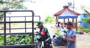 Satgas TMMD 129 Bojonegoro Pasok Ratusan Bibit Sayuran untuk Warga Kesongo