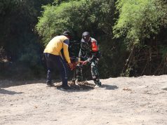 Babinsa Kesongo – DLH ‘Keroyokan’ Buat Lubang Tanam Pohon untuk Jaga Tanggul Sungai