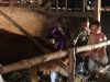 Lampaui Target: TMMD 129 Bojonegoro – Disnakkan Sentuh Nadi Ekonomi Warga Lewat Layanan Keswan
