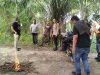 Penggerebekan Sarang Narkoba di Dolok Masihul