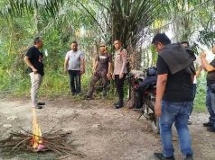 Penggerebekan Sarang Narkoba di Dolok Masihul