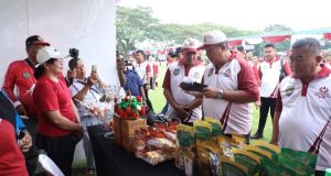 Bupati Asahan Buka Jambore Kader Posyandu ke-XIII, Berikan Apresiasi Istimewa Berupa Umrah dan Uang Tunai