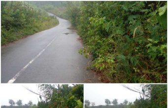 Semak Belukar Hiasi Jalan Provinsi Bengkulu, Dana Rutin Tebas Bayang Kemana ?