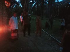 Undercover Buy, Gubuk Sarang Narkoba di Dolok Masihul Digrebek