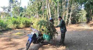 Wujud Kepedulian di Jalan, Satgas TMMD Bantu Pengendara Motor Yang Kesulitan di Desa Sembung