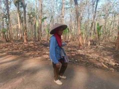 Puluhan Tahun Berharap Jalan Diperbaiki, Mbah Marni Kini Menyambut Harapan Baru Berkat TMMD